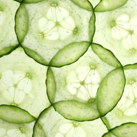 Cucumber